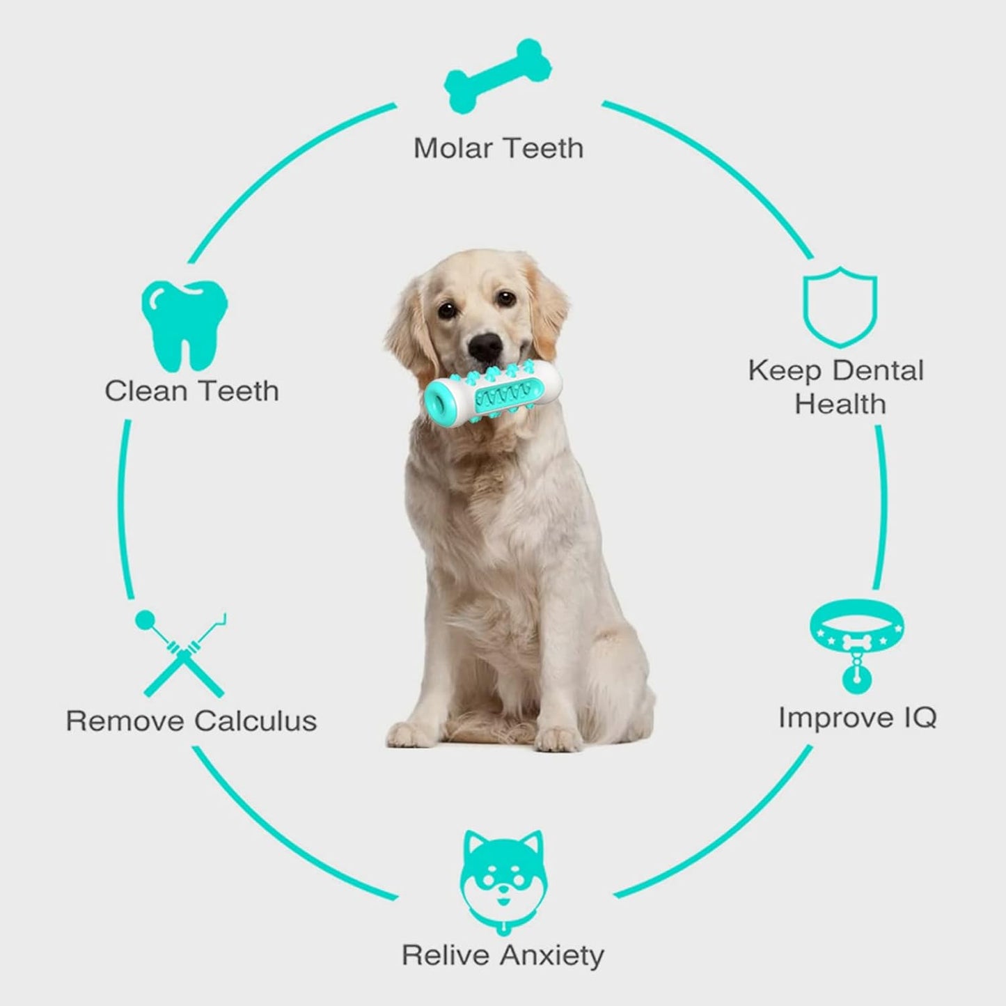 Juguete para Limpiar los Dientes del Perro - additional image 11